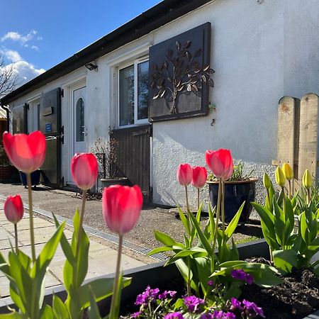 The Stables @ The Forge Cronk Y Voddy Apartment Saint Johns Exterior photo